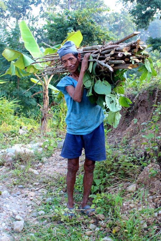 COMDEKS grantee benefits from agroforestry systems, Makawanpur region, Nepal