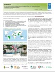 comdeksnewsletter8