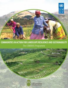 Communities In Action For Landscape thumb