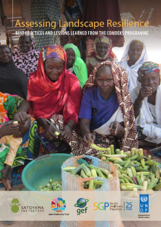 RI Publication_cover